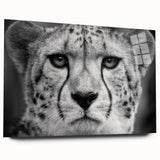 Side view of a sleek cheetah wall art design displayed on acrylic glass, featuring vibrant colors and intricate details, perfect for animal lovers and modern decor.