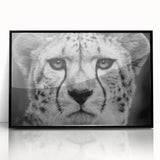 Framed wall art featuring a striking cheetah design against a black background, showcasing the elegance and speed of this majestic African animal, perfect for wildlife enthusiasts.