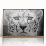 Framed wall art featuring a striking cheetah design in vibrant colors, showcasing its majestic front view against a sleek gold-acrylic backdrop, perfect for animal lovers.