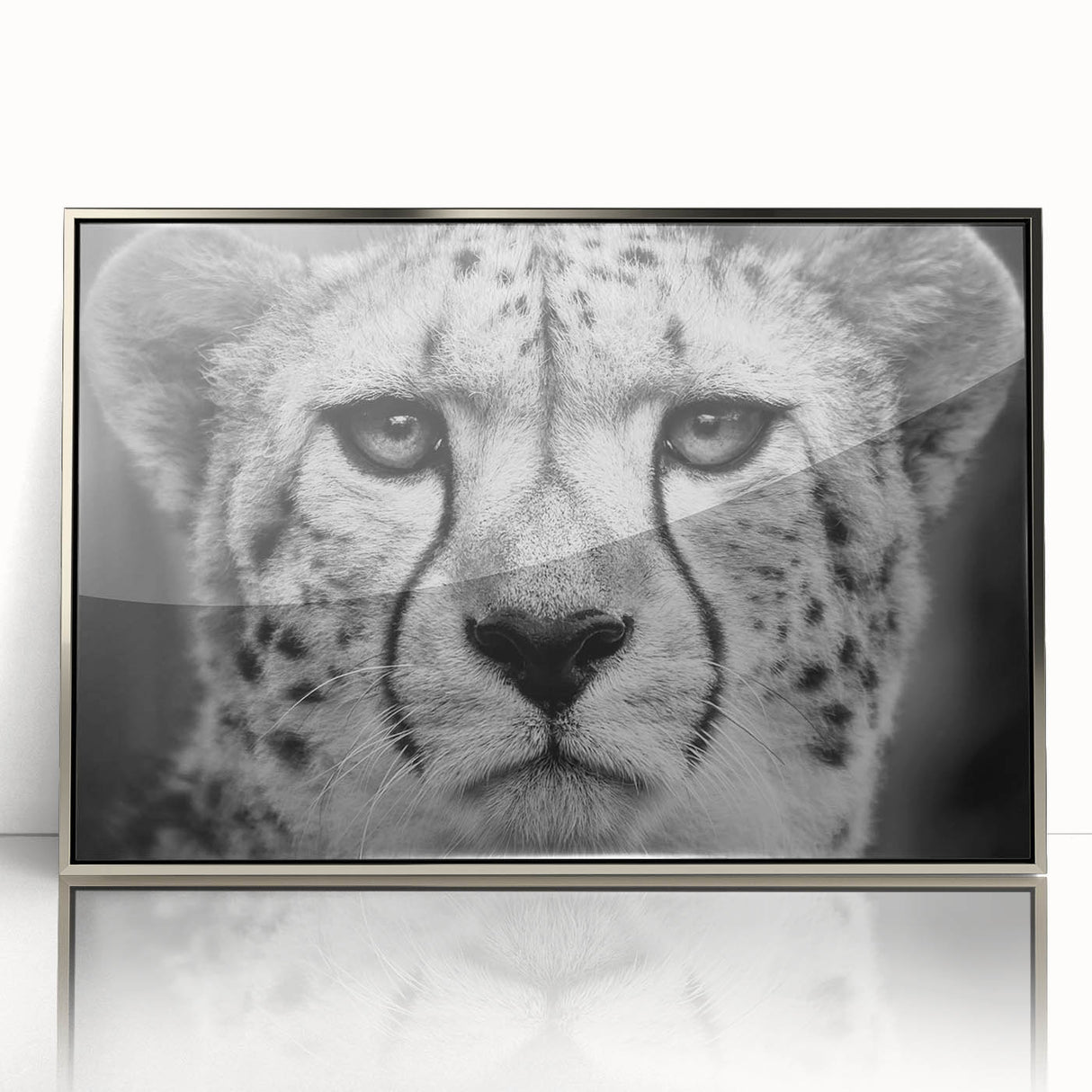 Framed acrylic wall art featuring a stunning cheetah design in silver tones, showcasing intricate details and vibrant colors, perfect for wildlife enthusiasts' home decor.