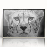 Framed acrylic wall art featuring a stunning cheetah design in silver tones, showcasing intricate details and vibrant colors, perfect for wildlife enthusiasts' home decor.