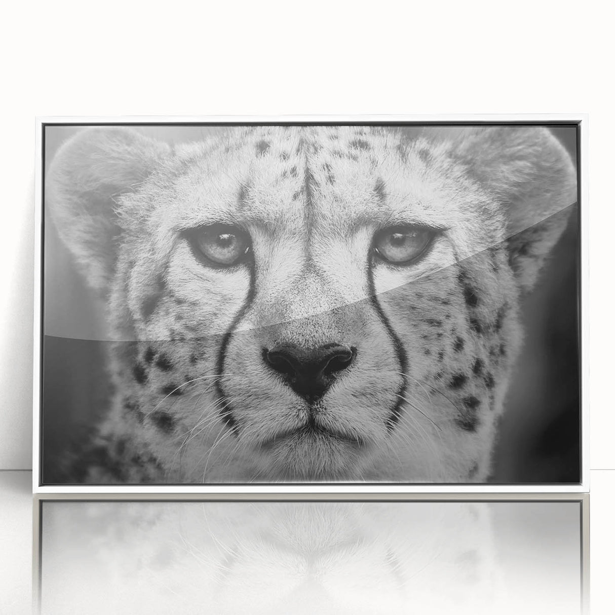 Framed wall art featuring a striking cheetah design in a minimalist white frame, showcasing vibrant colors and intricate details, perfect for enhancing modern decor.