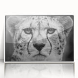 Framed wall art featuring a striking cheetah design in a minimalist white frame, showcasing vibrant colors and intricate details, perfect for enhancing modern decor.