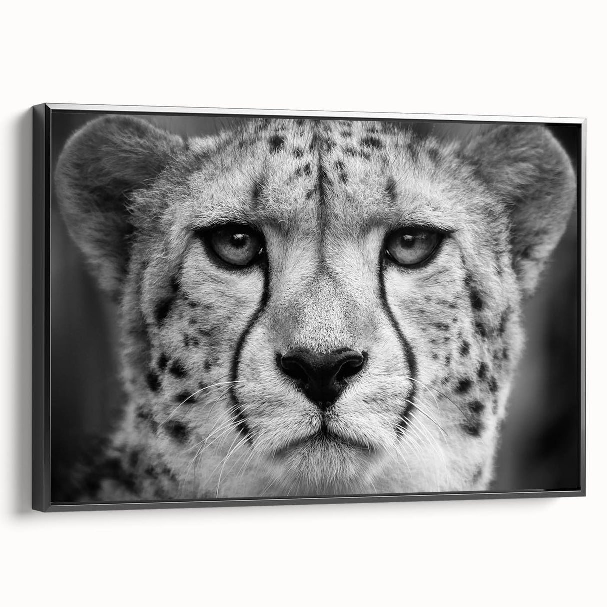 Framed wall art featuring a striking cheetah design in black and white, showcasing the animal's sleek profile against a minimalist background, perfect for wildlife enthusiasts.