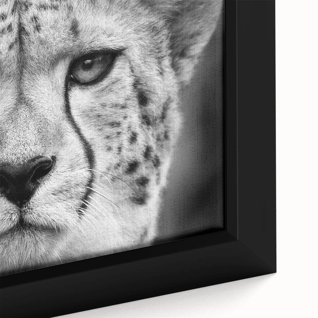 Close-up of a framed canvas wall art featuring a striking design of a cheetah in its natural habitat, showcasing intricate details and vibrant colors, perfect for wildlife enthusiasts and home decor.