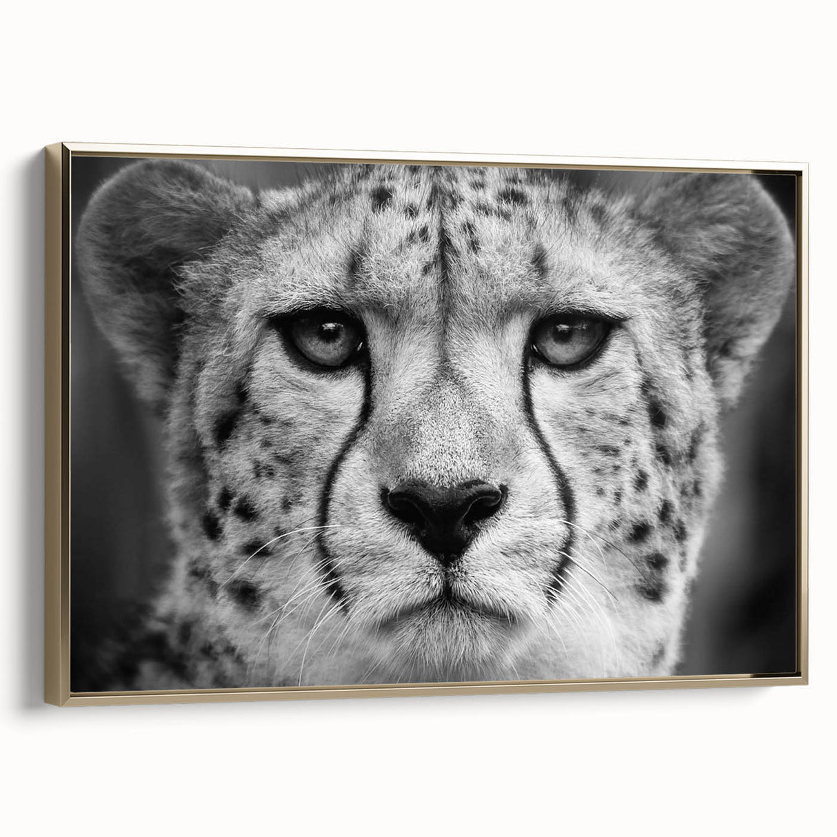 Framed canvas wall art featuring a striking cheetah design, showcasing intricate details in gold tones, perfect for animal lovers and modern decor enthusiasts.