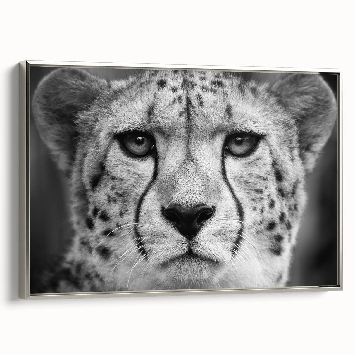 Framed wall art showcasing a sleek, silver-side view of a cheetah design, perfect for adding a touch of wildlife elegance to modern decor.