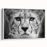 Framed canvas wall art depicting a sleek cheetah in a minimalist design. The artwork features a white background, emphasizing the cheetah's graceful form and vibrant colors. Perfect for animal lovers and modern decor enthusiasts.