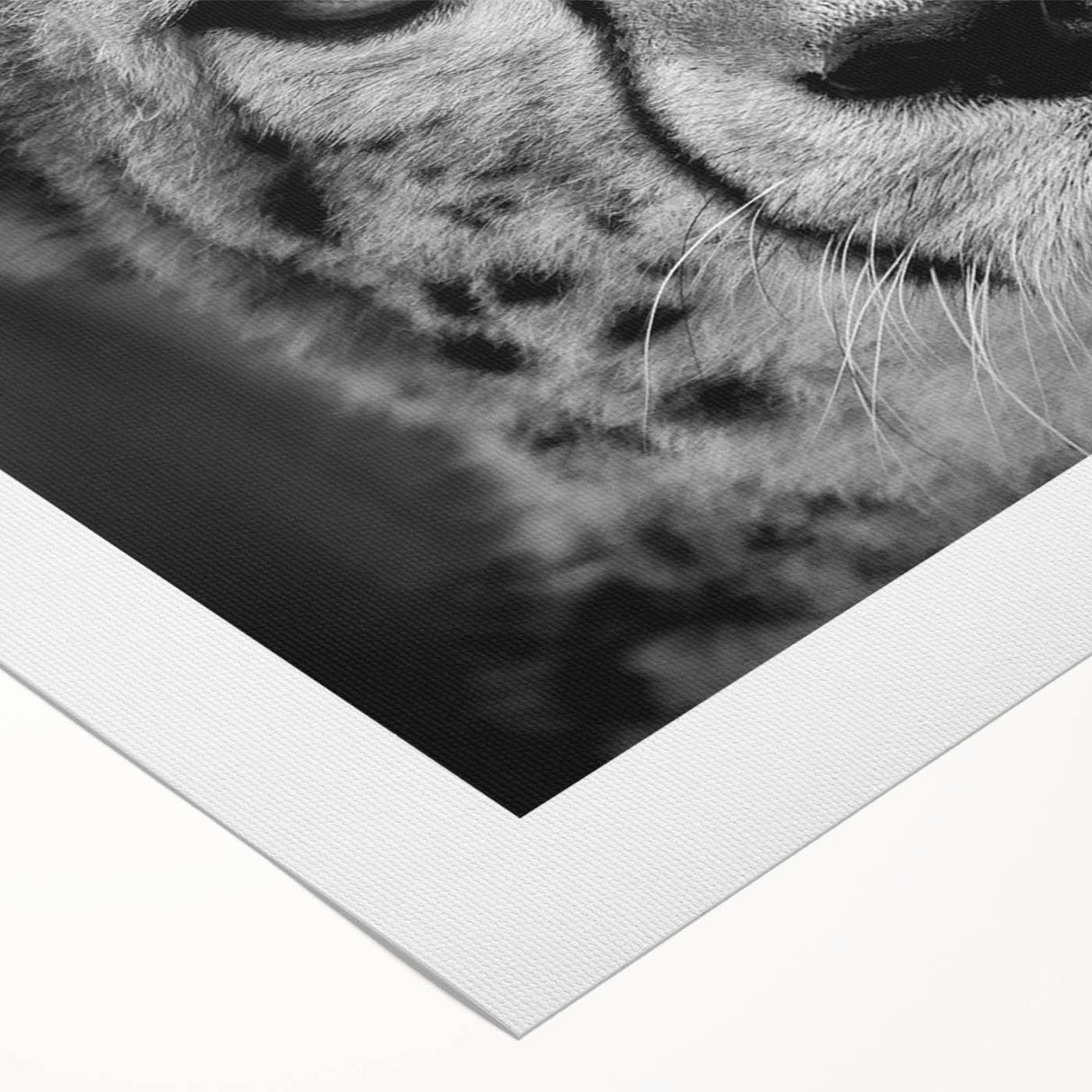 Vibrant cheetah design wall art on rolled canvas, showcasing intricate patterns and colors, perfect for adding an exotic touch to home decor. Ideal for wildlife enthusiasts.