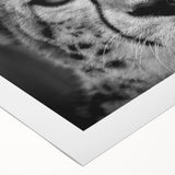 Vibrant cheetah design wall art on rolled canvas, showcasing intricate patterns and colors, perfect for adding an exotic touch to home decor. Ideal for wildlife enthusiasts.