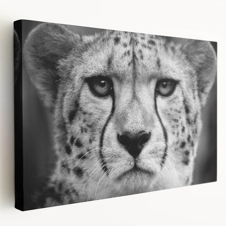 Stretched canvas wall art depicting a side view of a sleek cheetah in a vibrant, natural setting, showcasing intricate details and bold colors for a striking home décor accent.