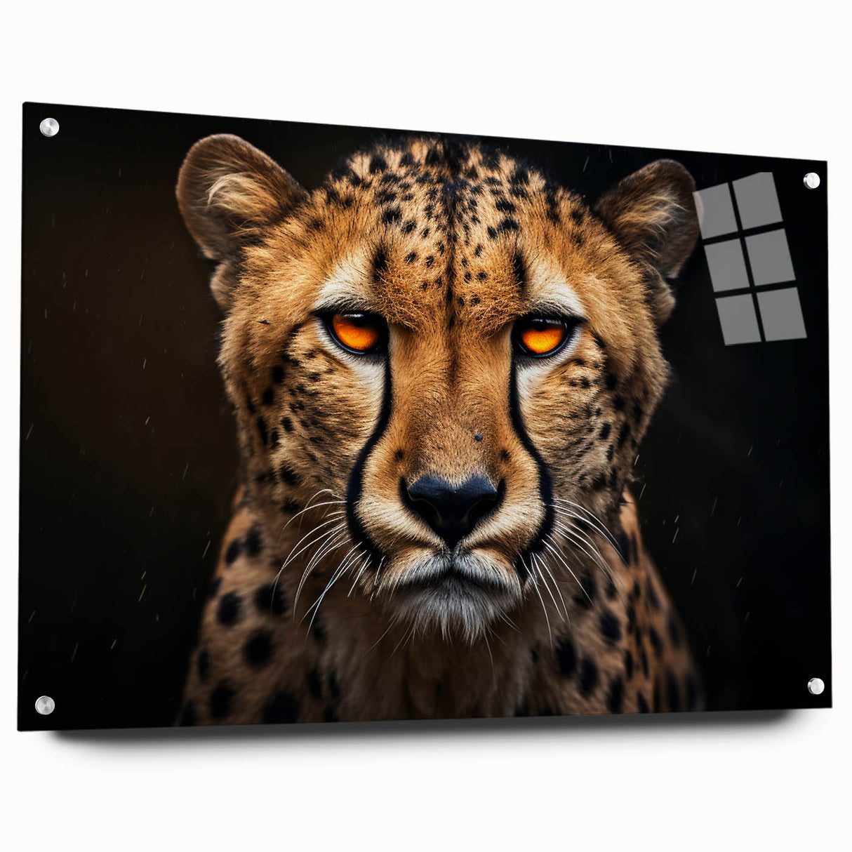 Cheetah wall art design in vibrant colors displayed in an acrylic glass frame, showcasing the animal's sleek profile and unique spots, ideal for wildlife decor enthusiasts.