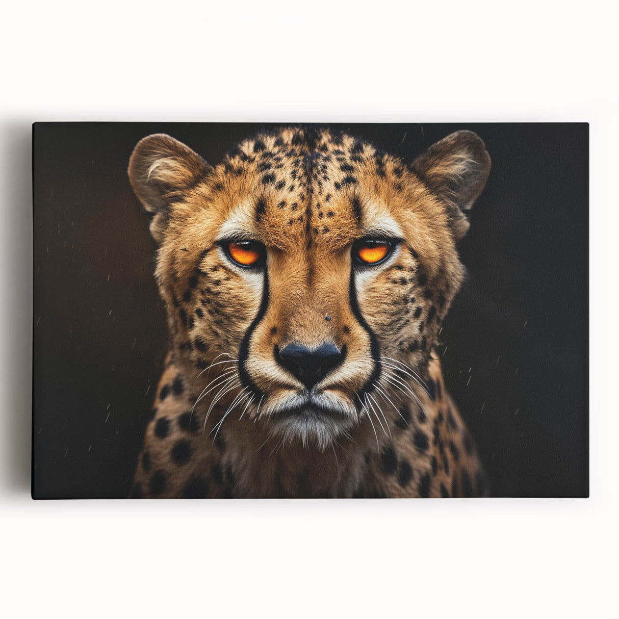 Stretched canvas wall art featuring a stunning front view of a cheetah, showcasing its distinctive spots and intense gaze, perfect for wildlife enthusiasts.