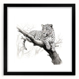 Cheetah-themed wall art design featuring a striking black frame and mat, showcasing a vibrant depiction of a cheetah in its natural habitat, perfect for wildlife enthusiasts.
