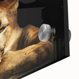 Close-up of a striking cougar wall art design printed on acrylic glass, showcasing vivid colors and intricate details, perfect for wildlife enthusiasts and home decor. This piece captures the majestic beauty of the cougar, emphasizing its sleek fur and piercing gaze, making it an ideal statement art piece for nature lovers.