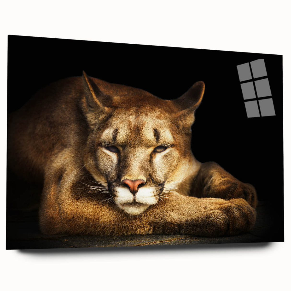 Side view of a stunning acrylic glass wall art piece featuring a detailed cougar design, showcasing vibrant colors and natural textures, perfect for wildlife enthusiasts.