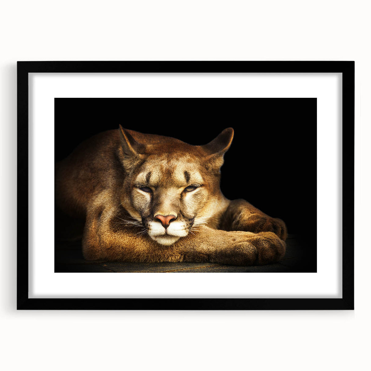 Framed wall art featuring a majestic cougar design in vibrant colors, set against a sleek black mat, perfect for wildlife enthusiasts and modern decor.