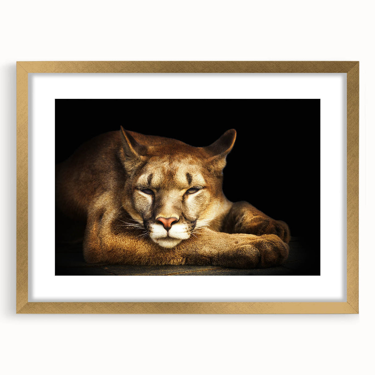 Elegant wall art featuring a majestic cougar design in gold frame, showcasing intricate details and a mat finish, perfect for enhancing any wildlife-themed decor.