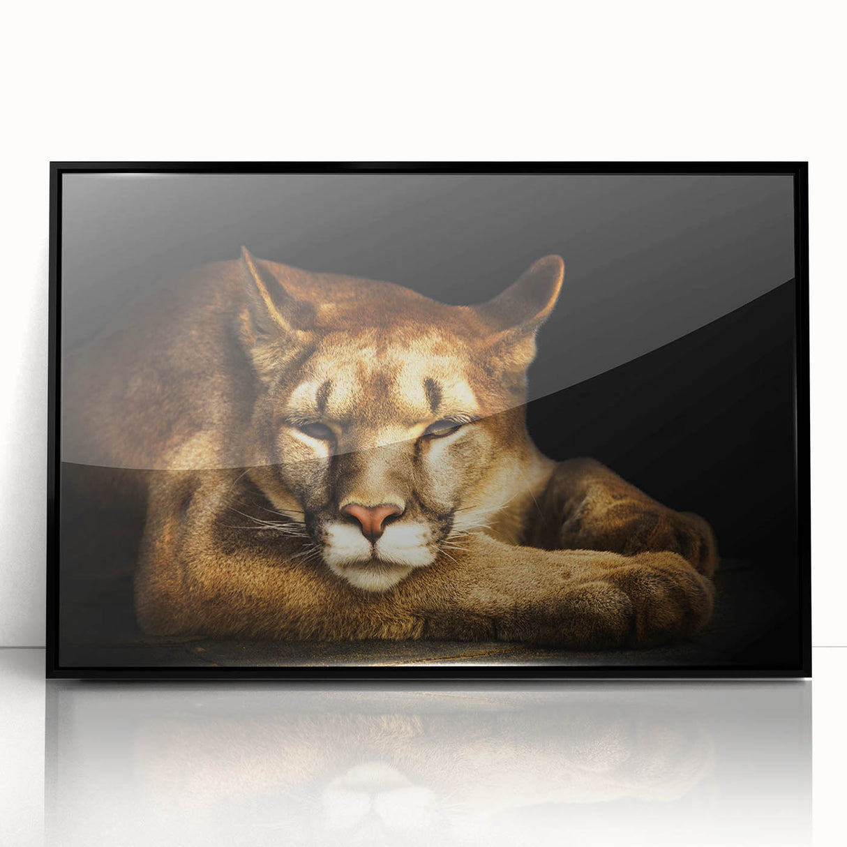 Framed acrylic wall art featuring a detailed black cougar design, showcasing its majestic profile against a sleek black background, perfect for wildlife enthusiasts.