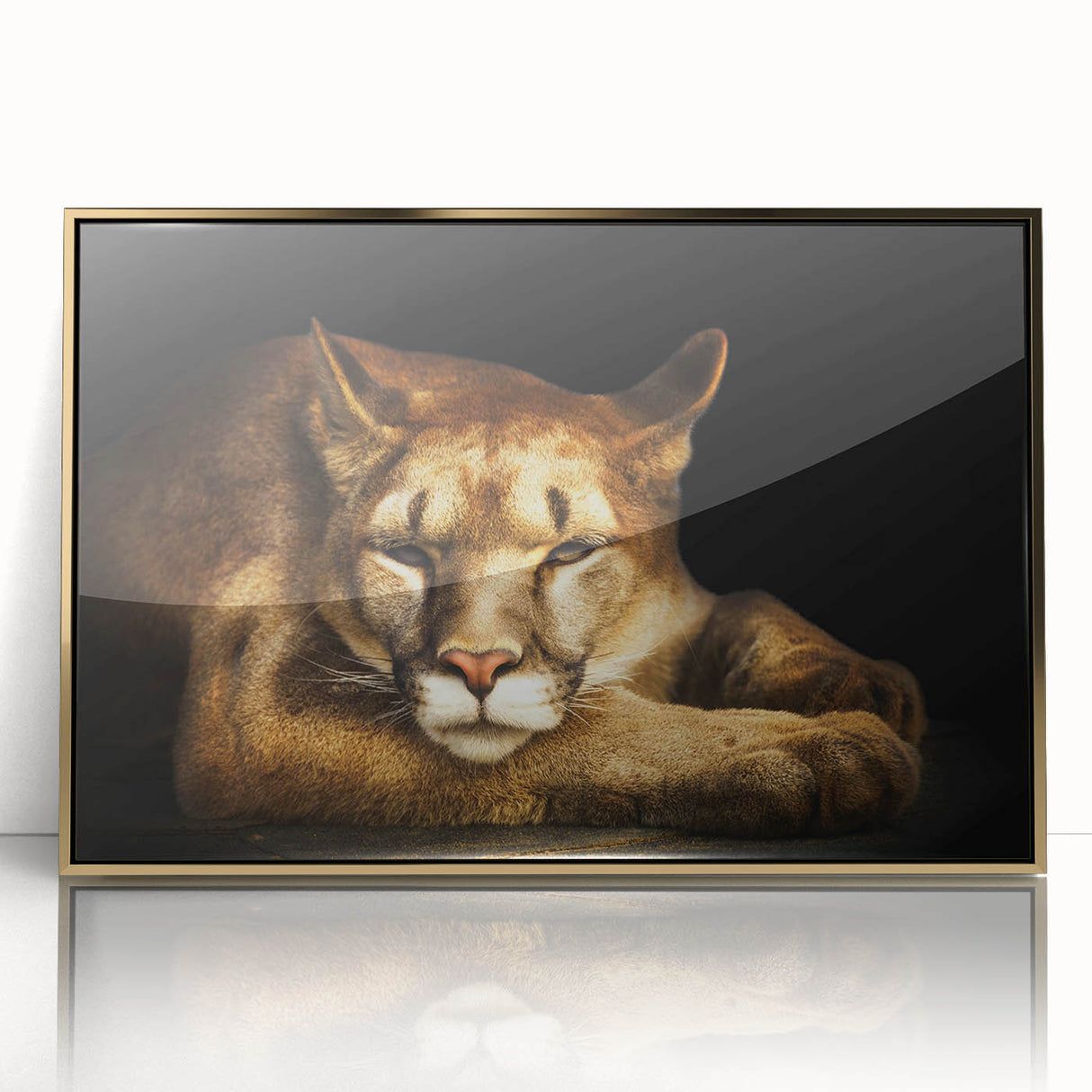 Framed wall art featuring a striking cougar design against a gold-acrylic background, ideal for wildlife enthusiasts and modern home decor. Perfect for adding a touch of elegance and nature-inspired beauty to any room.
