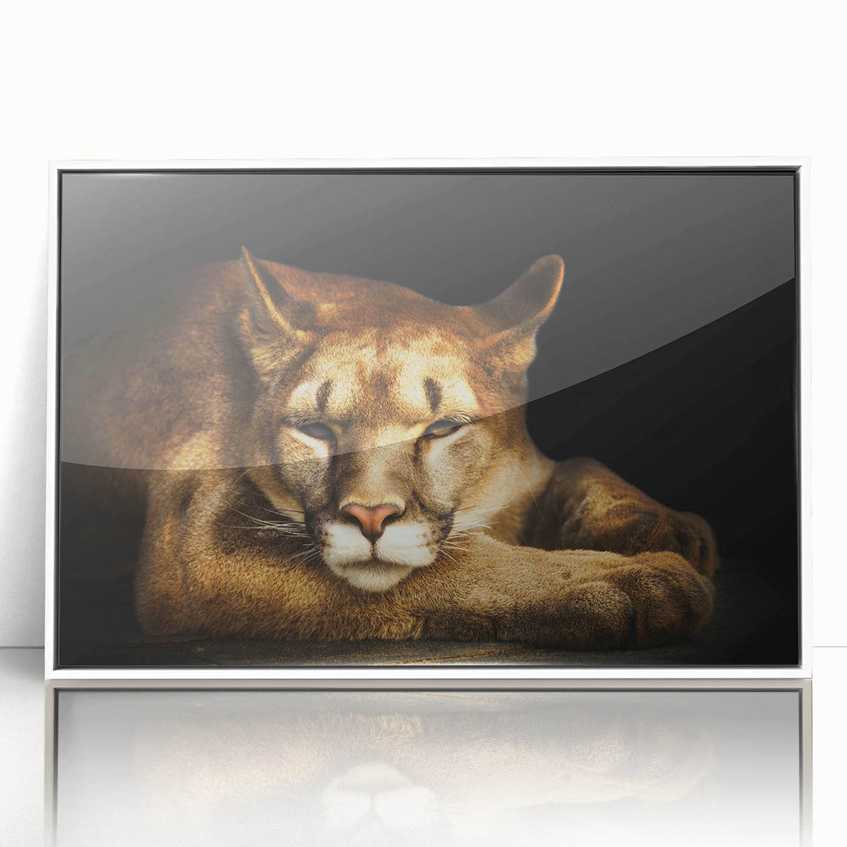 Framed acrylic wall art featuring a detailed illustration of a majestic cougar in a natural setting, showcasing vibrant colors and intricate design elements, ideal for wildlife enthusiasts.