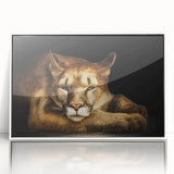 Framed acrylic wall art featuring a detailed illustration of a majestic cougar in a natural setting, showcasing vibrant colors and intricate design elements, ideal for wildlife enthusiasts.