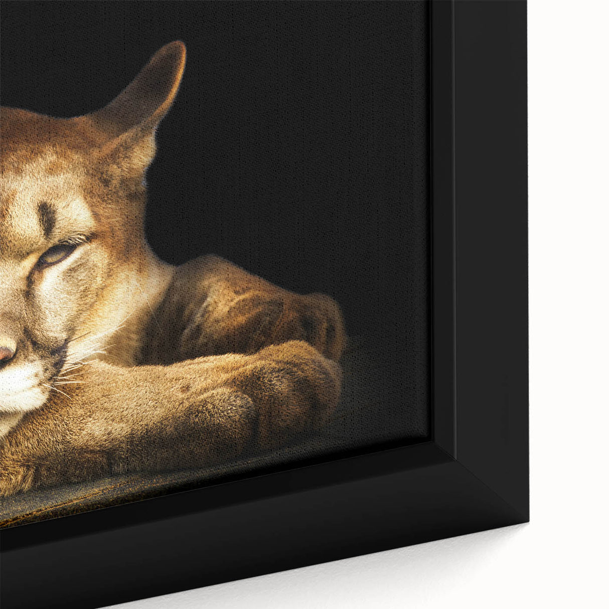 Close-up of a framed canvas wall art featuring a striking cougar design, showcasing vibrant colors and intricate details that enhance its natural beauty, perfect for wildlife enthusiasts.