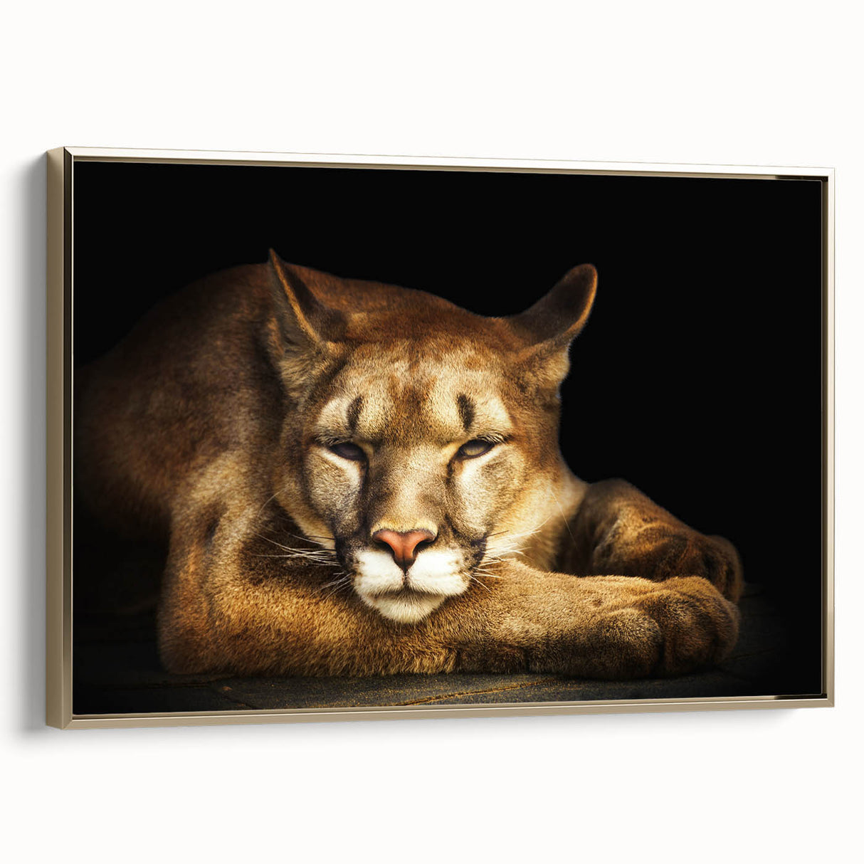 Framed wall art featuring a majestic cougar design in a gold frame, showcasing rich colors and intricate details against a neutral background, ideal for animal lovers.