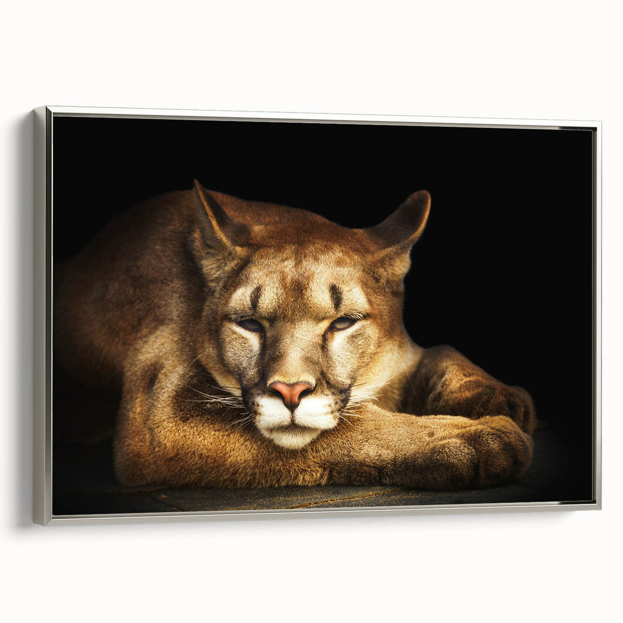 Framed canvas wall art depicting a majestic cougar in a natural setting, showcasing detailed textures and vibrant colors, ideal for wildlife enthusiasts and home decor.