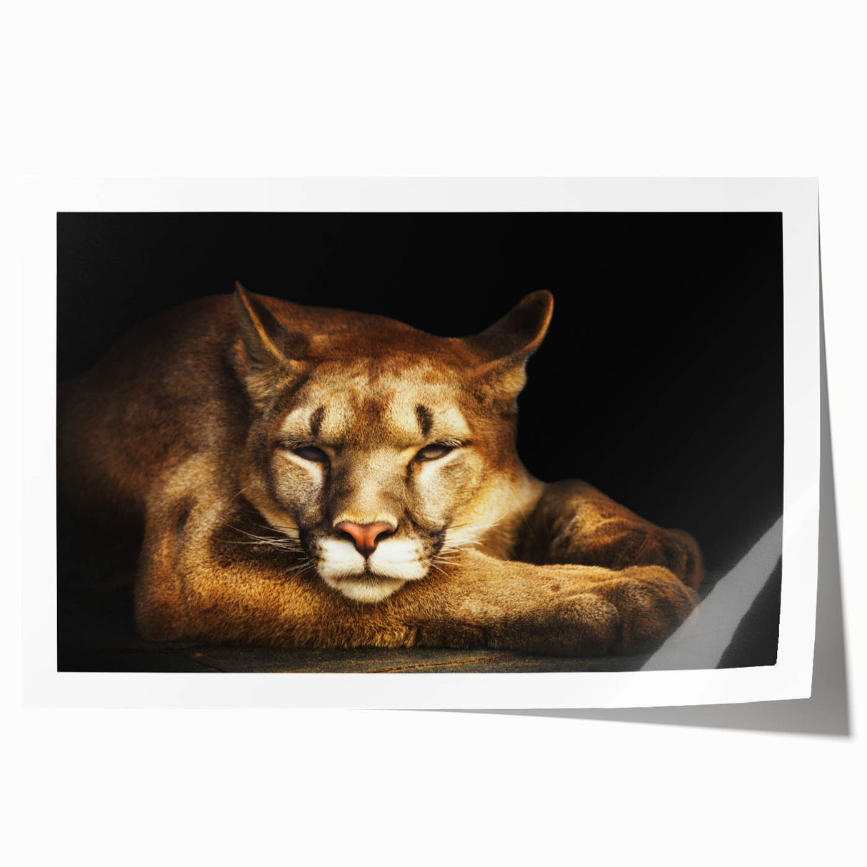 Stylized wall art print featuring a majestic cougar in a vibrant wilderness setting, showcasing detailed brushwork and natural colors, perfect for wildlife enthusiasts.