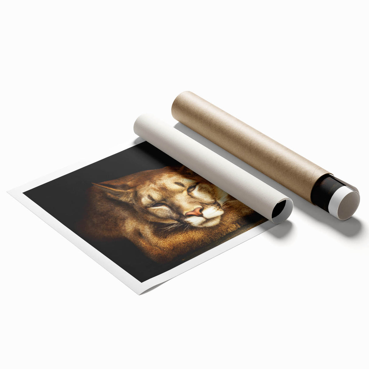 Cougar wall art print featuring a stunning design of a majestic wild cat in a natural setting, rolled and ready for framing, ideal for wildlife decor enthusiasts.