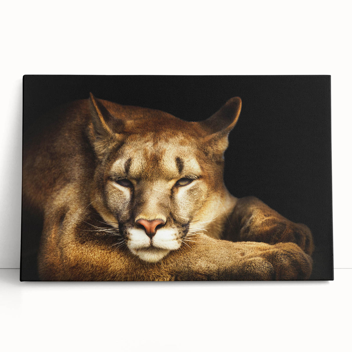 Stretched canvas wall art featuring a detailed illustration of a majestic cougar in a natural setting, ideal for wildlife enthusiasts and home decor.