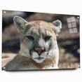 Side view of a wall art piece featuring an acrylic glass design of a cougar, showcasing vibrant colors and intricate details, mounted with pins for display.