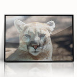 Framed wall art featuring a striking black acrylic design of a cougar, showcasing intricate details and vibrant colors, perfect for wildlife enthusiasts and home decor.