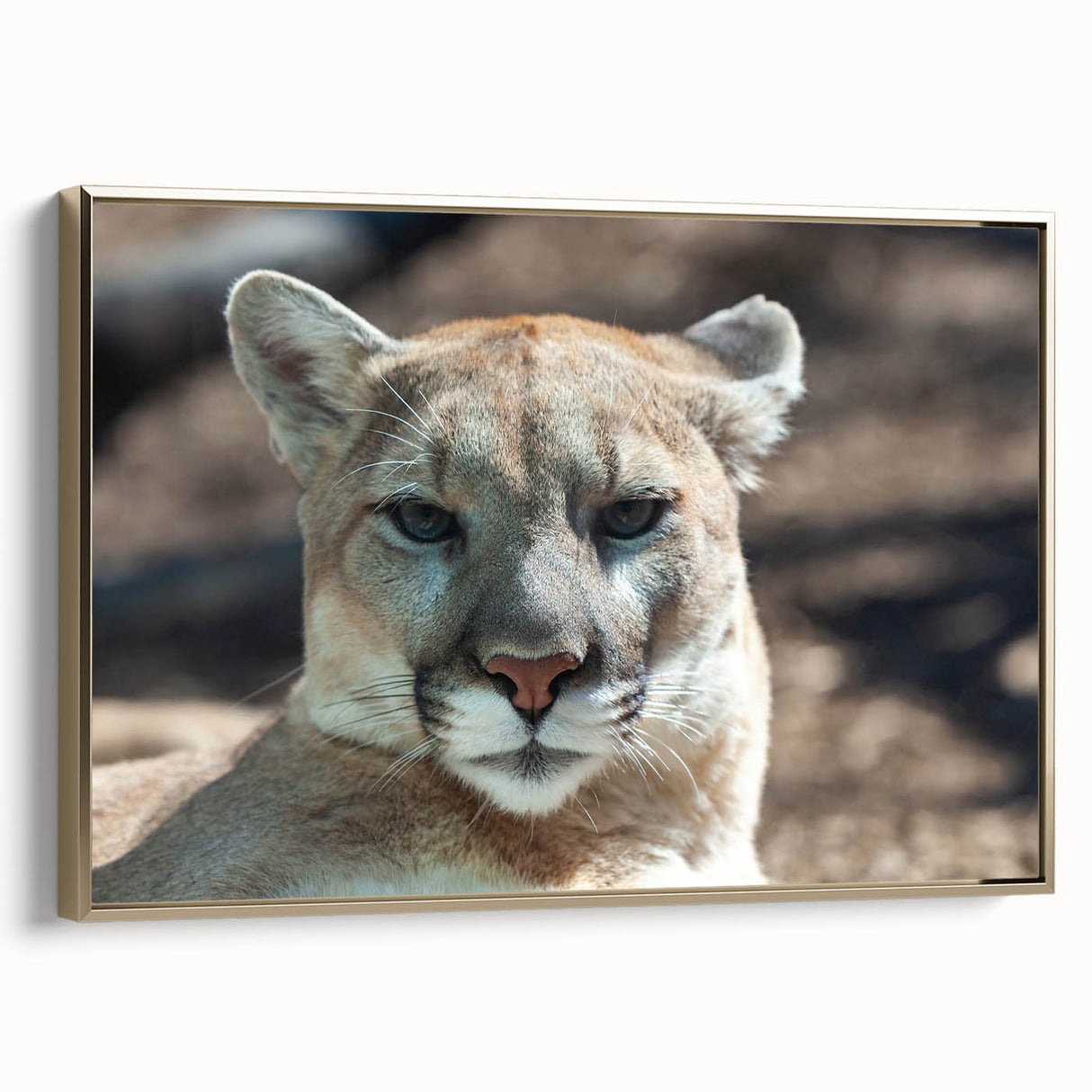Framed wall art featuring a majestic cougar in a wild landscape, showcasing rich colors and detailed textures, perfect for nature-inspired decor.