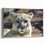 Framed wall art featuring a striking silver side view of a cougar design, showcasing detailed fur texture and lifelike expression, perfect for wildlife enthusiasts.