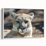 Framed canvas wall art featuring a stylized cougar design, showcasing vibrant colors on a white background, perfect for modern wildlife decor.