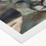 Rolled canvas artwork showcasing a striking cougar design, featuring vibrant colors and intricate details, ideal for wildlife enthusiasts and home decor.