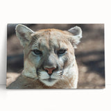 Stretched canvas wall art depicting a majestic cougar in a vibrant, natural setting, perfect for wildlife enthusiasts and home décor. Ideal for adding a bold statement to any space.