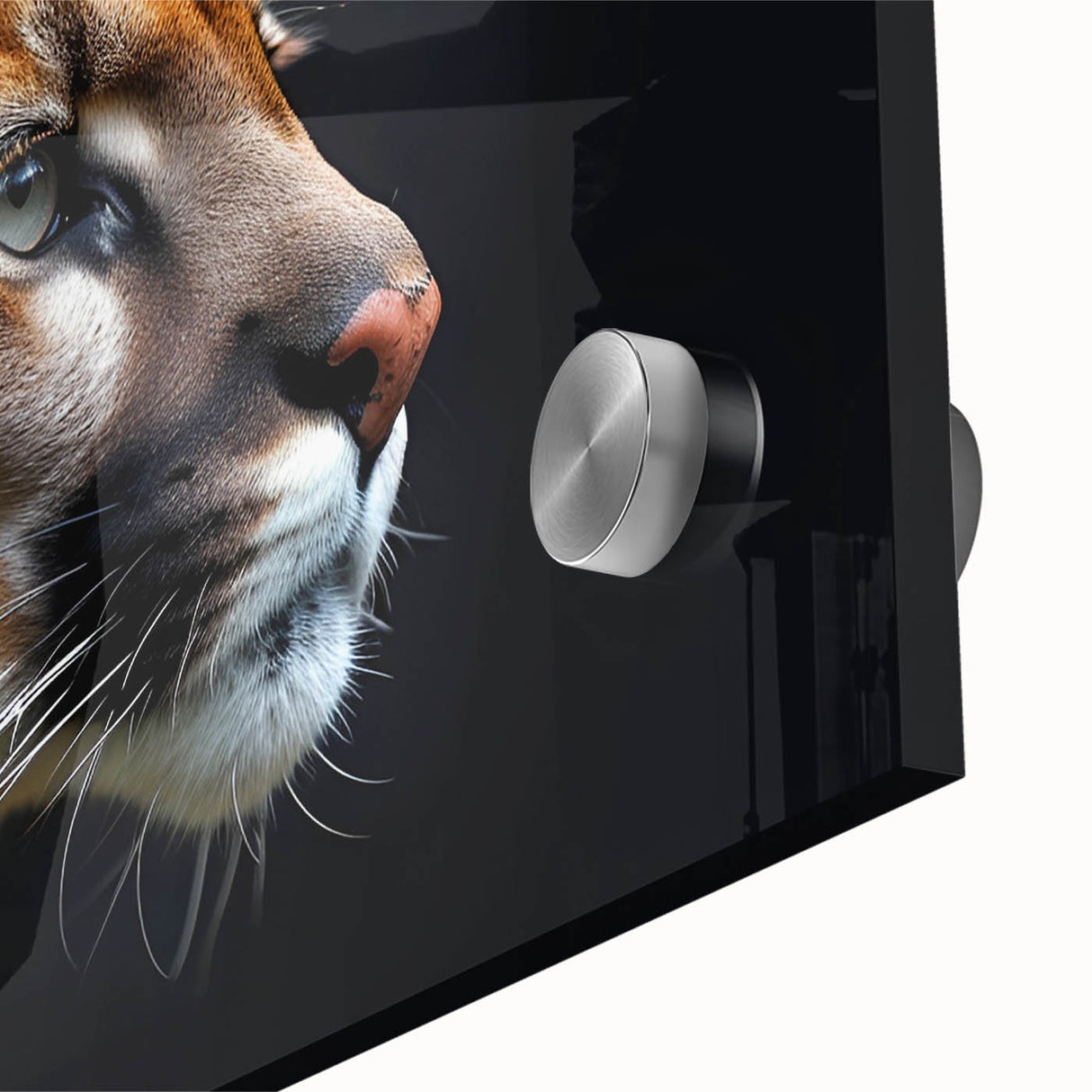 Close-up of an acrylic wall art piece featuring a striking cougar design, showcasing vivid colors and intricate details, ideal for wildlife enthusiasts and home decor.