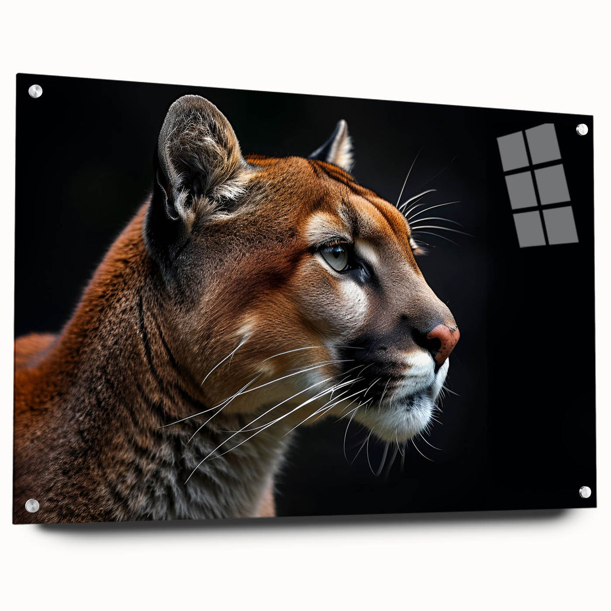 Acrylic wall art showcasing a side view of a cougar, featuring vibrant colors and intricate details, mounted with pins for a striking display in wildlife-themed decor.