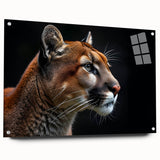 Acrylic wall art showcasing a side view of a cougar, featuring vibrant colors and intricate details, mounted with pins for a striking display in wildlife-themed decor.
