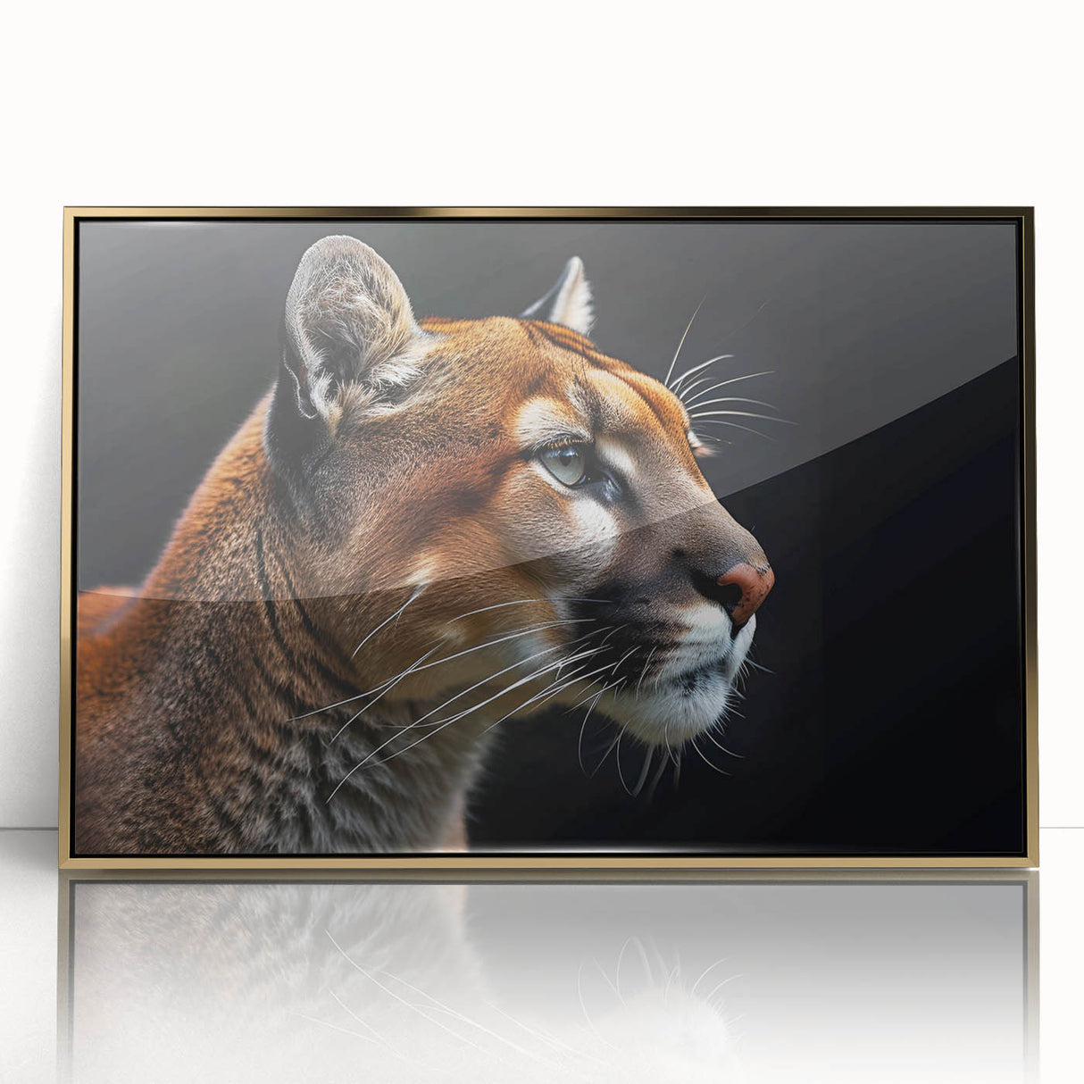 Framed wall art featuring a striking cougar design with acrylic glass front, showcasing rich colors and intricate details, ideal for wildlife enthusiasts.