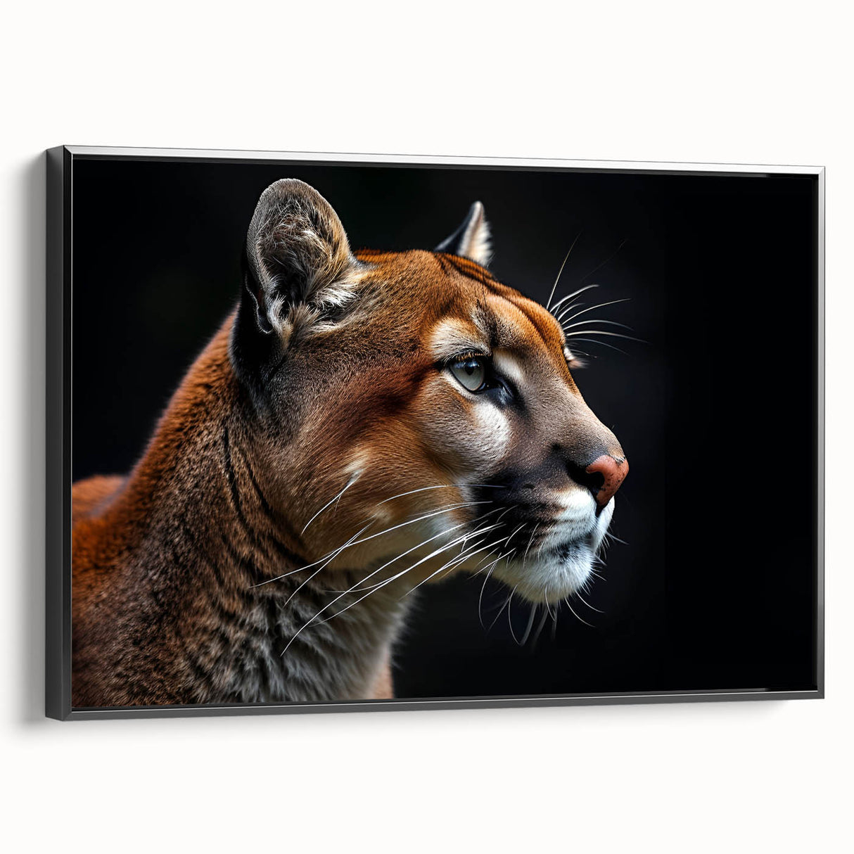 Framed canvas wall art showcasing a detailed cougar design, featuring vibrant colors and bold lines, set against a sleek black frame for a modern decor look.