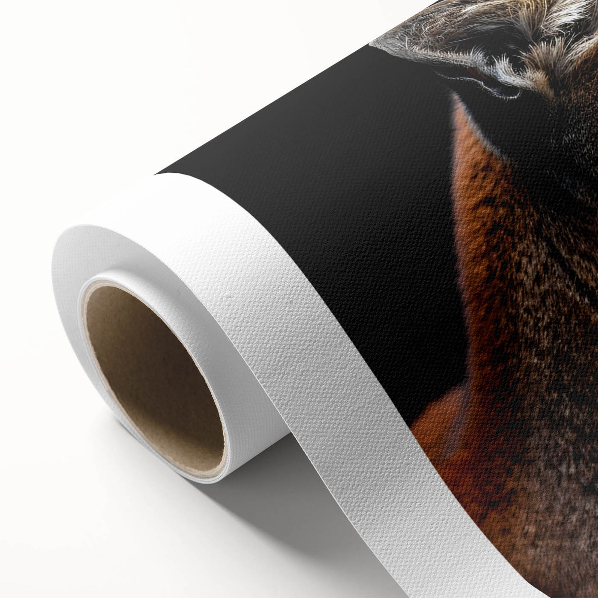 Rolled canvas showcasing a striking cougar design, featuring vibrant colors and intricate details, perfect for animal lovers and wildlife enthusiasts. Packaged securely in a protective tube for safe delivery.