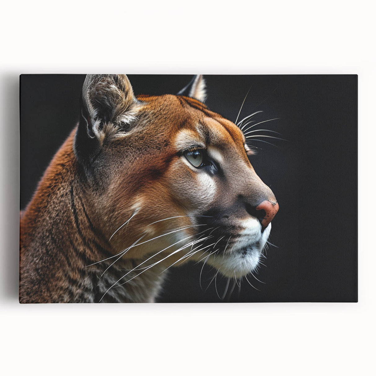 Stretched canvas wall art depicting a majestic cougar in a vibrant natural setting, showcasing detailed fur textures and rich colors, perfect for wildlife enthusiasts.