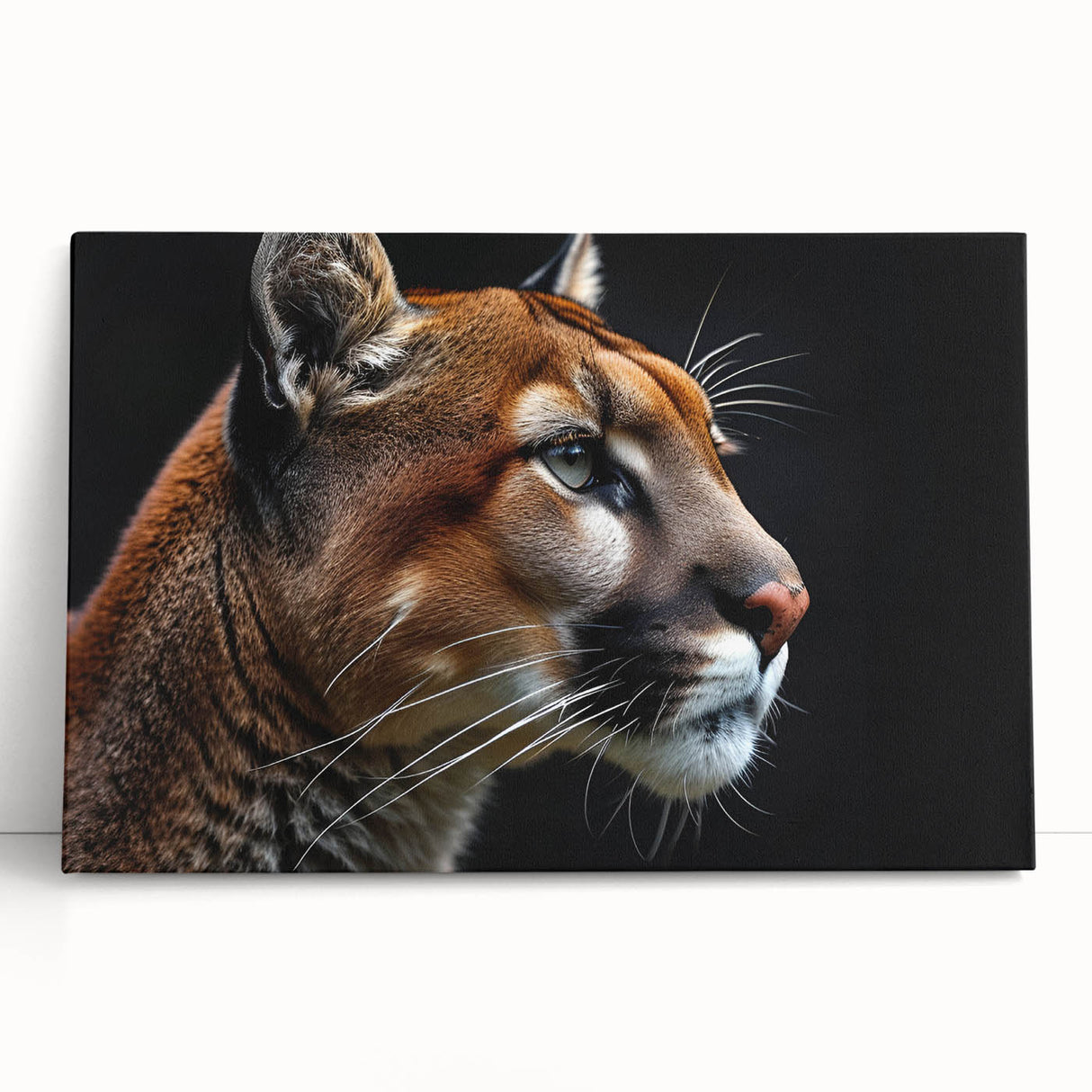 Stretched canvas of a striking cougar design, showcasing vibrant colors and intricate details, perfect for wildlife enthusiasts and modern home decor.