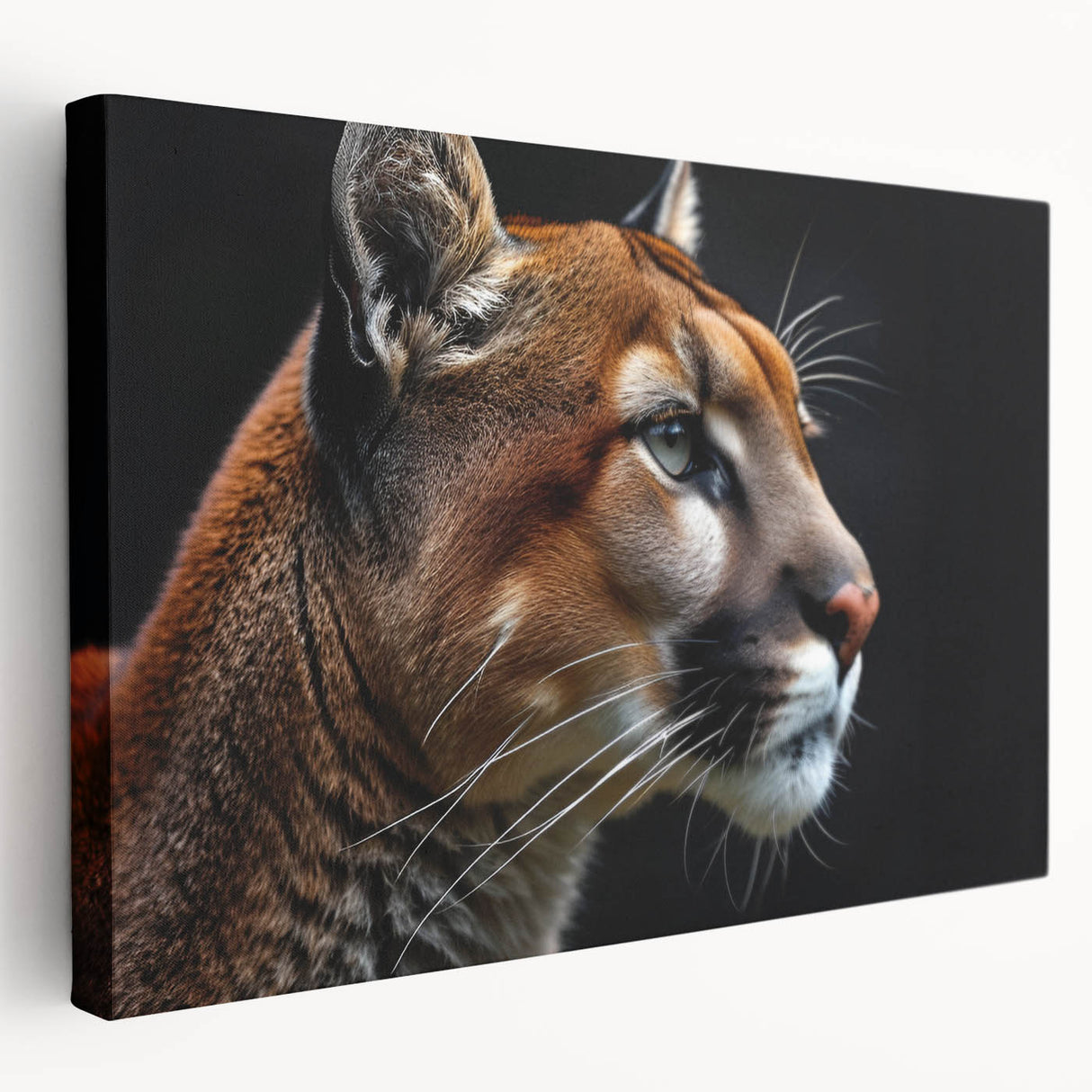 Stretched canvas wall art showcasing a majestic cougar in a vibrant wilderness setting, highlighting its detailed fur and natural colors, perfect for wildlife enthusiasts.