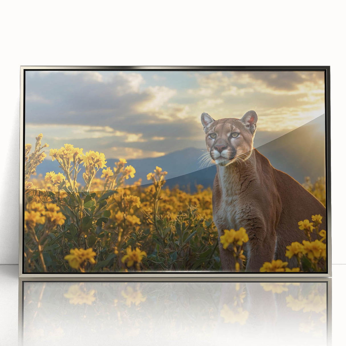 Framed acrylic wall art featuring a striking cougar design in a silver frame, showcasing the majestic animal's details and vibrant colors, perfect for wildlife enthusiasts.