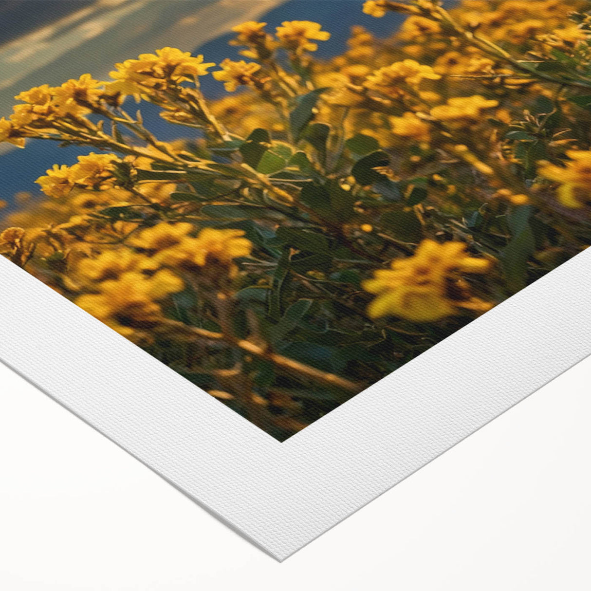 Cougar wall art design on rolled canvas, showcasing a detailed illustration of a majestic cougar in its natural habitat, ideal for wildlife enthusiasts.